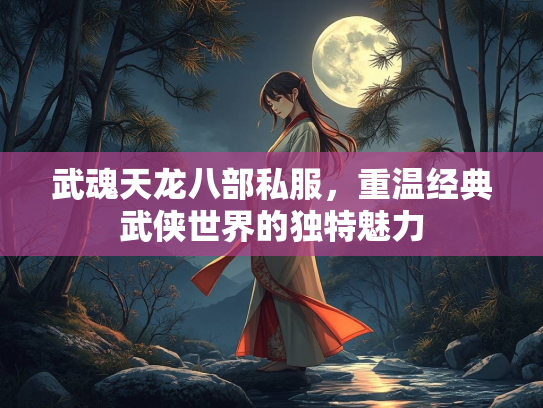 武魂天龙八部私服，重温经典武侠世界的独特魅力