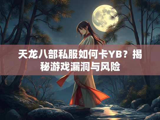 天龙八部私服如何卡YB？揭秘游戏漏洞与风险  第2张