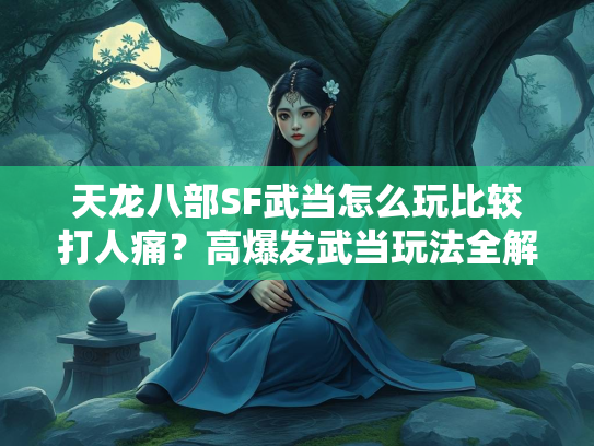 天龙八部SF武当怎么玩比较打人痛？高爆发武当玩法全解析