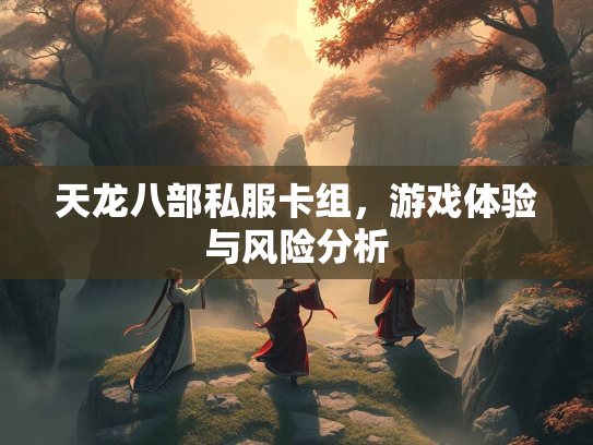天龙八部私服卡组，游戏体验与风险分析  第1张