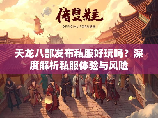 天龙八部发布私服好玩吗？深度解析私服体验与风险  第3张