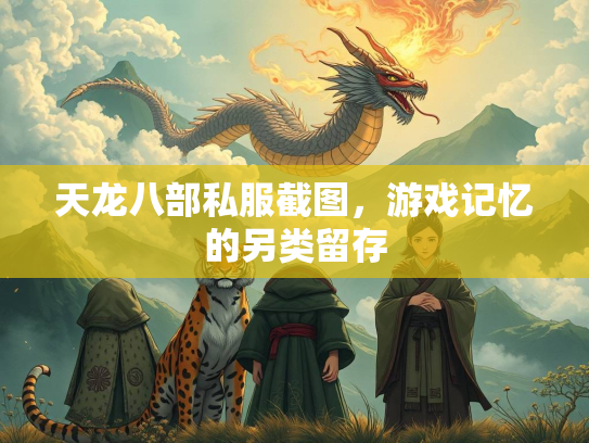 天龙八部私服截图，游戏记忆的另类留存