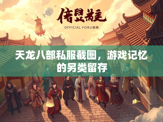 天龙八部私服截图，游戏记忆的另类留存