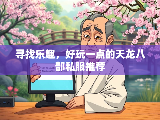 寻找乐趣，好玩一点的天龙八部私服推荐  第1张