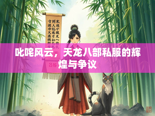 叱咤风云，天龙八部私服的辉煌与争议  第3张