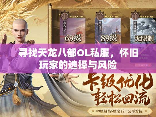 寻找天龙八部OL私服，怀旧玩家的选择与风险