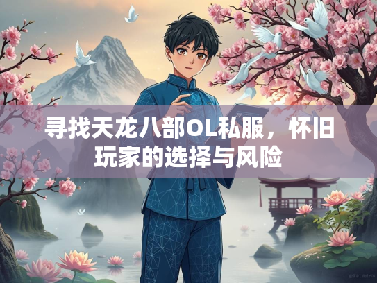 寻找天龙八部OL私服，怀旧玩家的选择与风险