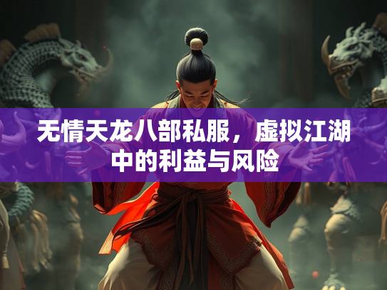 无情天龙八部私服，虚拟江湖中的利益与风险  第3张
