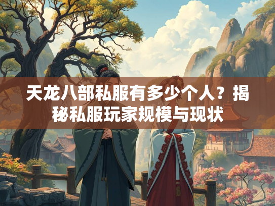 天龙八部私服有多少个人？揭秘私服玩家规模与现状  第2张