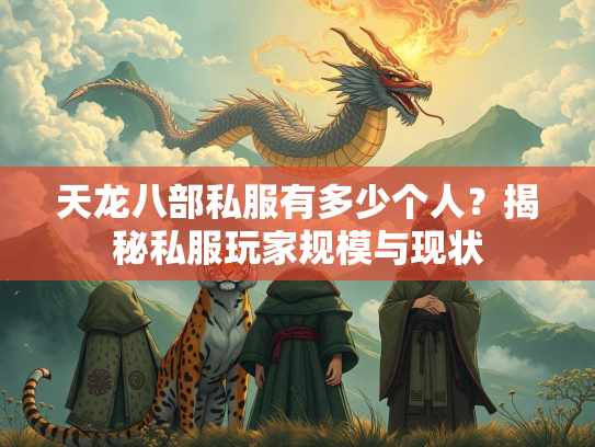 天龙八部私服有多少个人？揭秘私服玩家规模与现状  第3张