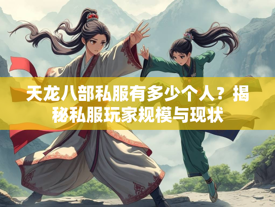 天龙八部私服有多少个人？揭秘私服玩家规模与现状