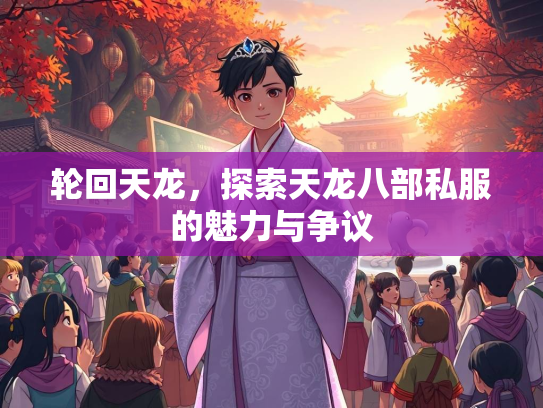轮回天龙，探索天龙八部私服的魅力与争议