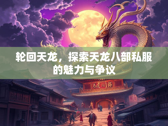 轮回天龙，探索天龙八部私服的魅力与争议  第5张