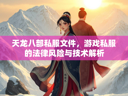 天龙八部私服文件，游戏私服的法律风险与技术解析