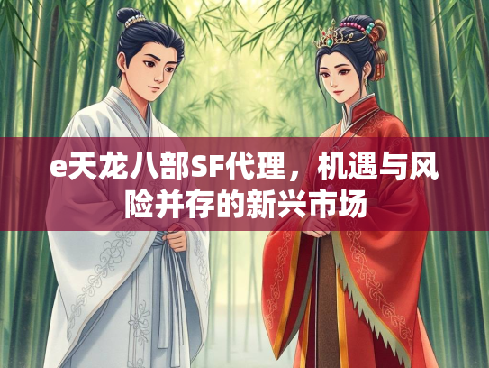 e天龙八部SF代理，机遇与风险并存的新兴市场  第1张