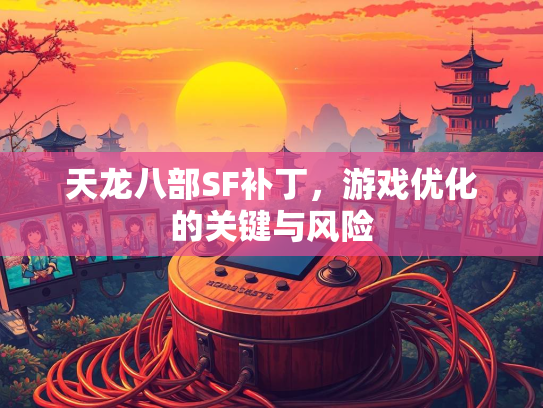 天龙八部SF补丁，游戏优化的关键与风险  第2张