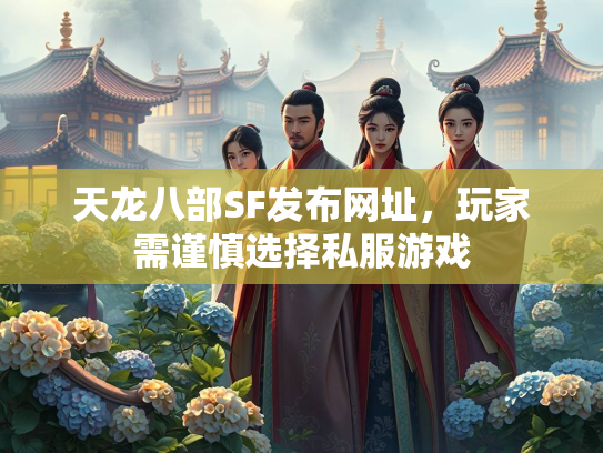 天龙八部SF发布网址，玩家需谨慎选择私服游戏