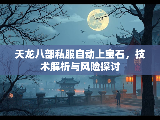 天龙八部私服自动上宝石，技术解析与风险探讨