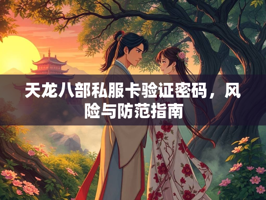天龙八部私服卡验证密码，风险与防范指南  第2张