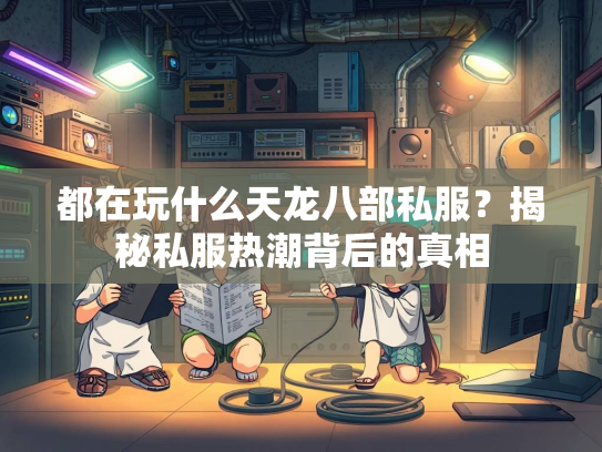 都在玩什么天龙八部私服？揭秘私服热潮背后的真相  第1张