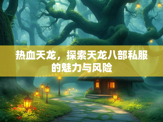 热血天龙，探索天龙八部私服的魅力与风险