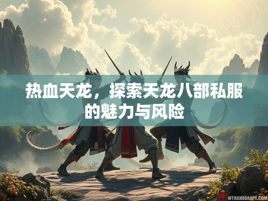 热血天龙，探索天龙八部私服的魅力与风险