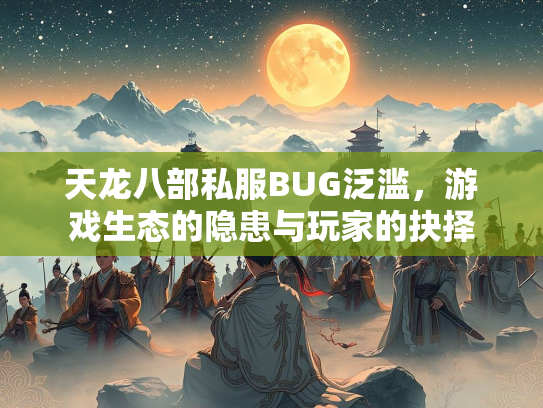 天龙八部私服BUG泛滥，游戏生态的隐患与玩家的抉择  第3张