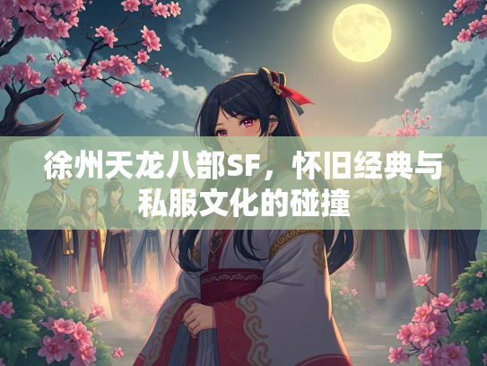 徐州天龙八部SF，怀旧经典与私服文化的碰撞  第2张