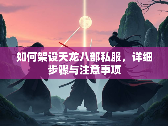 如何架设天龙八部私服，详细步骤与注意事项  第2张