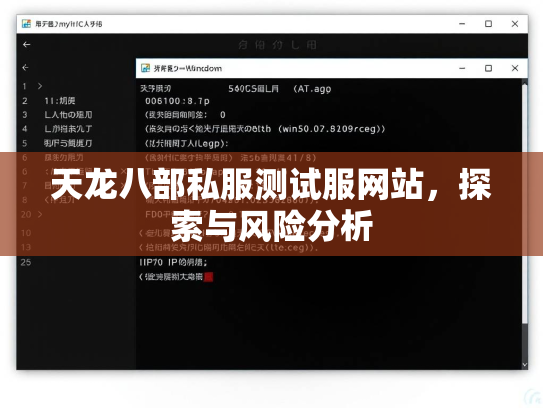 天龙八部私服测试服网站，探索与风险分析  第2张