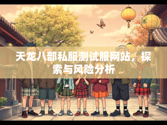 天龙八部私服测试服网站，部私<strong></strong>探索与风险分析  第1张