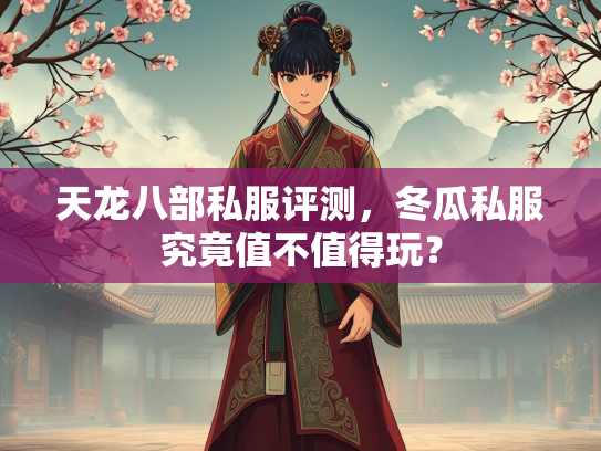天龙八部私服评测，冬瓜私服究竟值不值得玩？  第2张