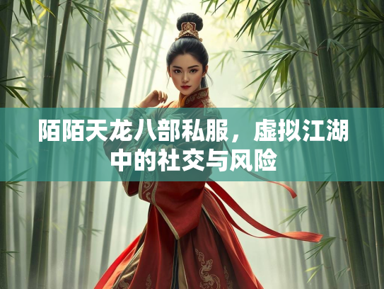 陌陌天龙八部私服，虚拟江湖中的社交与风险  第3张