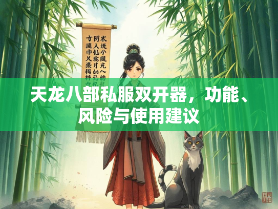 天龙八部私服双开器，功能、风险与使用建议  第3张