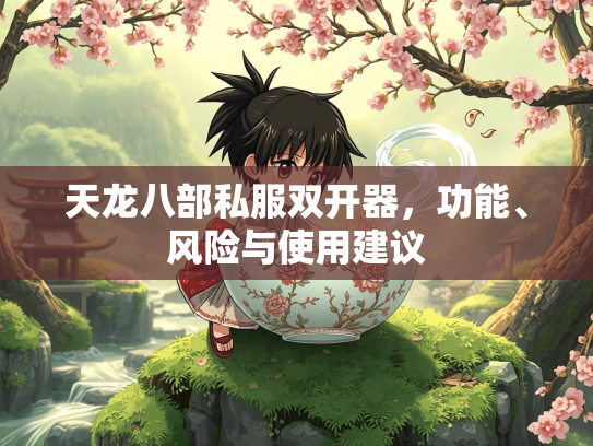 天龙八部私服双开器，功能、风险与使用建议  第1张