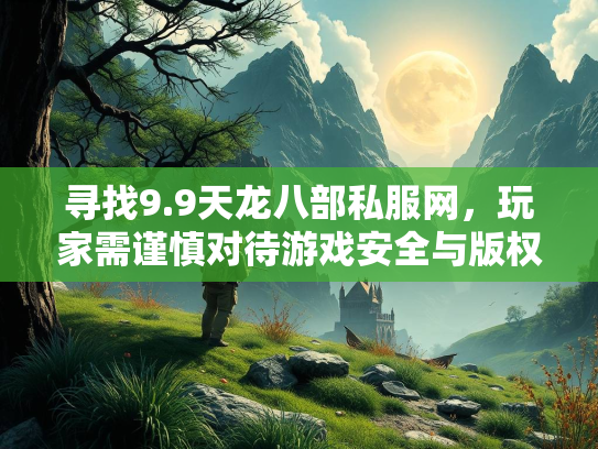 寻找9.9天龙八部私服网，玩家需谨慎对待游戏安全与版权问题
