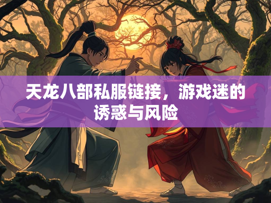 天龙八部私服链接，游戏迷的诱惑与风险