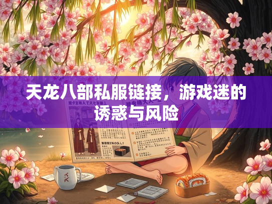 天龙八部私服链接，游戏迷的诱惑与风险