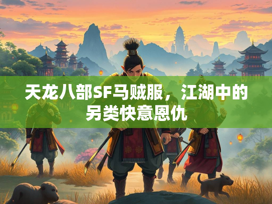 天龙八部SF马贼服，江湖中的另类快意恩仇