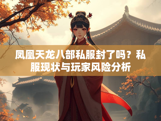 凤凰天龙八部私服封了吗？私服现状与玩家风险分析  第2张