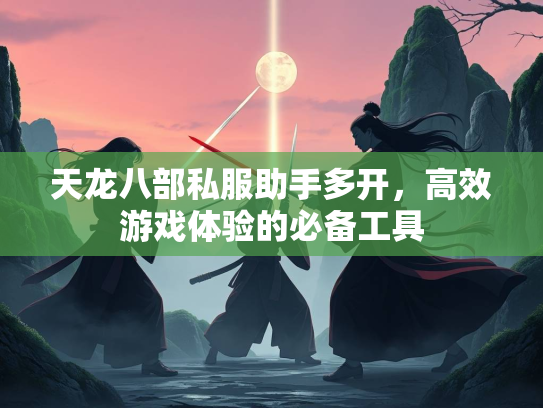 天龙八部私服助手多开，高效游戏体验的必备工具  第2张
