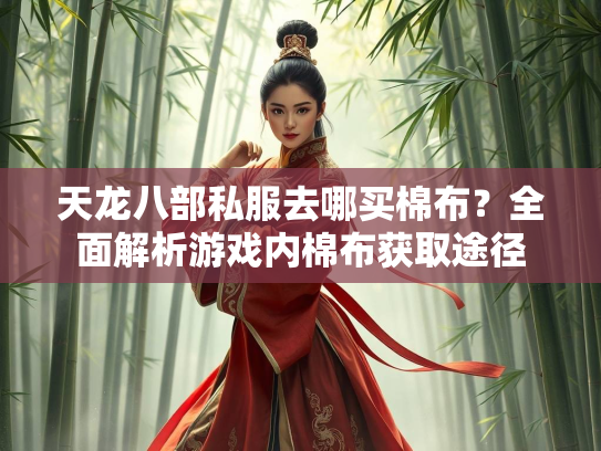 天龙八部私服去哪买棉布？全面解析游戏内棉布获取途径