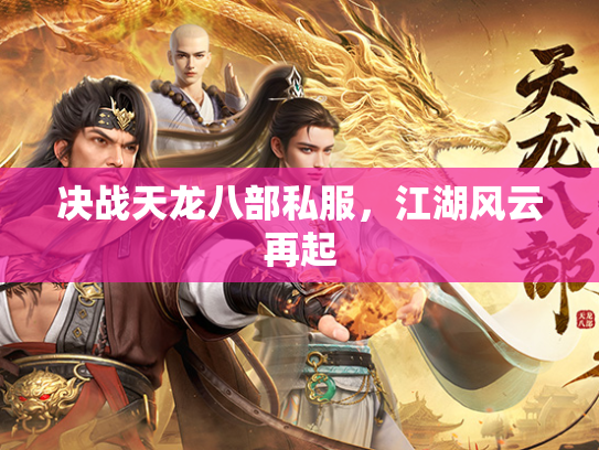 决战天龙八部私服，江湖风云再起  第2张