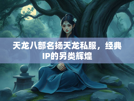 天龙八部名扬天龙私服，经典IP的另类辉煌  第2张