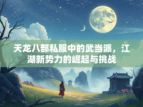 天龙八部私服中的武当派，江湖新势力的崛起与挑战