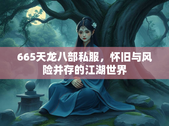 665天龙八部私服，怀旧与风险并存的江湖世界