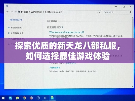 探索优质的新天龙八部私服，如何选择最佳游戏体验