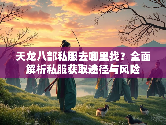 天龙八部私服去哪里找？全面解析私服获取途径与风险