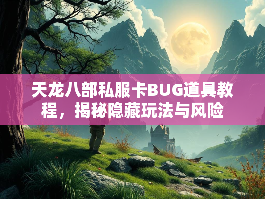天龙八部私服卡BUG道具教程，揭秘隐藏玩法与风险