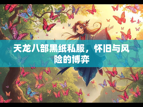 天龙八部黑纸私服，怀旧与风险的博弈